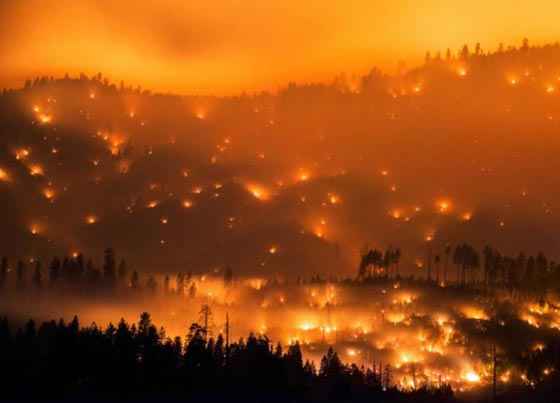 النار تلتهم عشرة ملايين فدان من الغابات الامريكية في عام 2015 صورة رقم 1