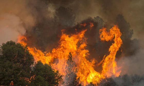 النار تلتهم عشرة ملايين فدان من الغابات الامريكية في عام 2015 صورة رقم 3