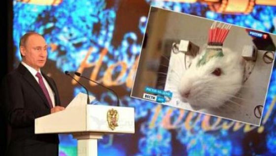 روسيا تجند جيشا من الفئران لمحاربة داعش!! صورة رقم 1 روسيا تجند جيشا من الفئران لمحاربة داعش!! صورة رقم 1