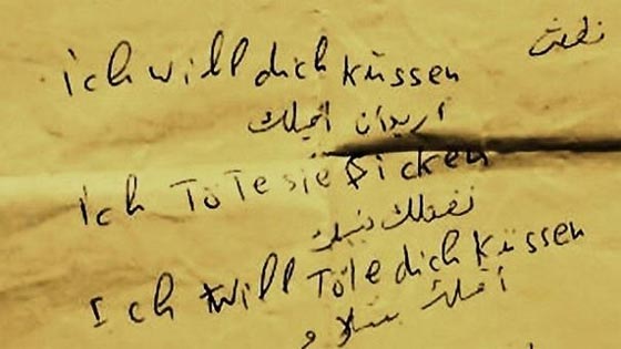 اوروبا تسأل اللاجئين.. جئتم طلبا للحماية ام لممارسة الرذيلة؟! صورة رقم 2