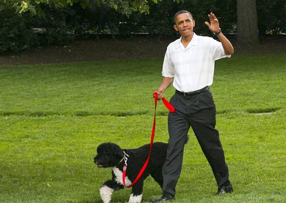 (المسيح) خطط لسرقة احد كلاب اوباما وقال ان والدته مارلين مونرو صورة رقم 3 (المسيح) خطط لسرقة احد كلاب اوباما وقال ان والدته مارلين مونرو صورة رقم 3