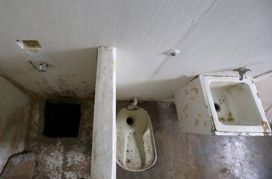 كل المعلومات والتفاصيل حول آل تشابو اخطر رجل في العالم  صورة رقم 3