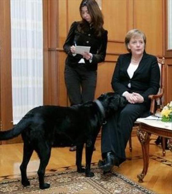 لهذا السبب ادخل بوتين كلبه الاسود المخيف على المستشارة ميركل صورة رقم 6
