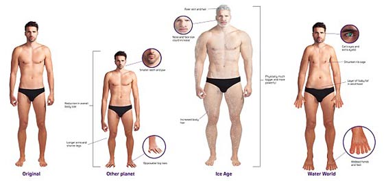 تصور فريد لانسان الفترة القادمة.. اطرافه ستصبح ملائمة للسباحة!! صورة رقم 1 تصور فريد لانسان الفترة القادمة.. اطرافه ستصبح ملائمة للسباحة!! صورة رقم 1