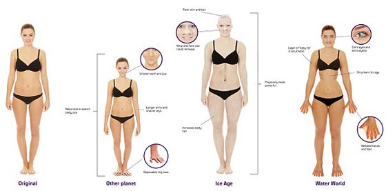 تصور فريد لانسان الفترة القادمة.. اطرافه ستصبح ملائمة للسباحة!! صورة رقم 2 تصور فريد لانسان الفترة القادمة.. اطرافه ستصبح ملائمة للسباحة!! صورة رقم 2