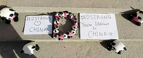 مؤثر.. هكذا تحققت امنية طفل مقبل على الموت بنيل الشهرة في الصين صورة رقم 13 مؤثر.. هكذا تحققت امنية طفل مقبل على الموت بنيل الشهرة في الصين صورة رقم 13