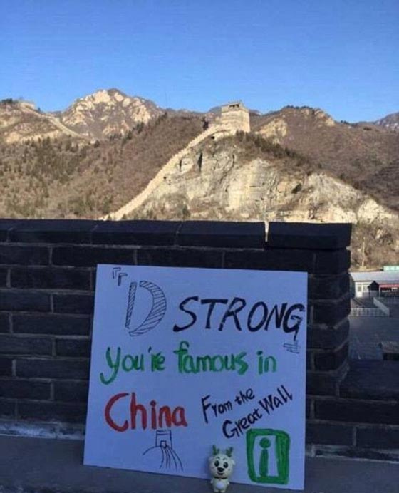 مؤثر.. هكذا تحققت امنية طفل مقبل على الموت بنيل الشهرة في الصين صورة رقم 17 مؤثر.. هكذا تحققت امنية طفل مقبل على الموت بنيل الشهرة في الصين صورة رقم 17