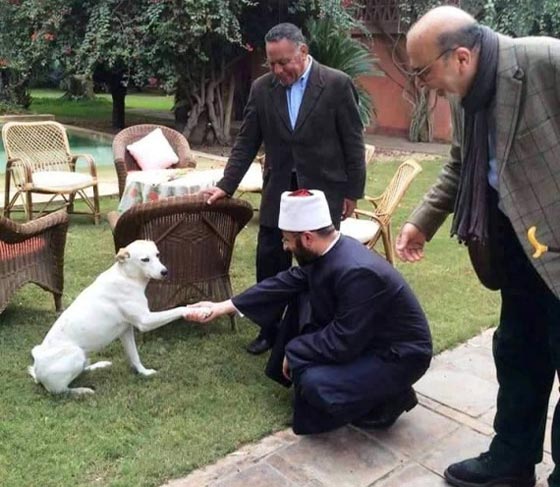 مصافحة رجل دين ازهري لكلب تثير جدلا على فيسبوك صورة رقم 1 مصافحة رجل دين ازهري لكلب تثير جدلا على فيسبوك صورة رقم 1