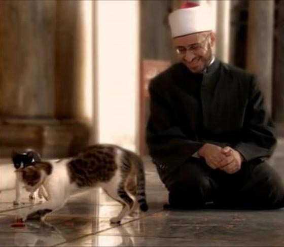 مصافحة رجل دين ازهري لكلب تثير جدلا على فيسبوك صورة رقم 11 مصافحة رجل دين ازهري لكلب تثير جدلا على فيسبوك صورة رقم 11