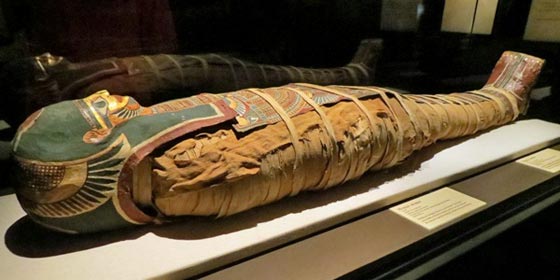 فيديو مثير.. ما سر مومياء المبعوث السماوي وتصرفه بعدوانية مع الاستخبارات الروسية؟ صورة رقم 5 فيديو مثير.. ما سر مومياء المبعوث السماوي وتصرفه بعدوانية مع الاستخبارات الروسية؟ صورة رقم 5