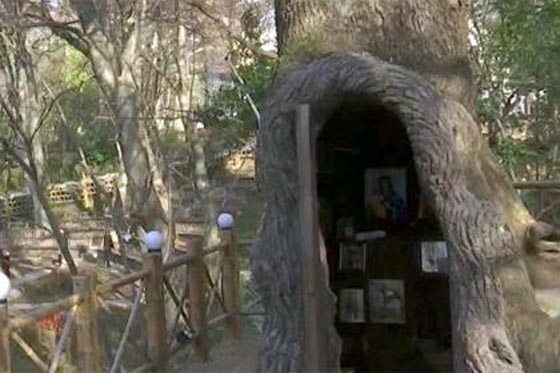 جورجيا: انشاء مصلى في تجويف شجرة بلوط معمرة صورة رقم 4