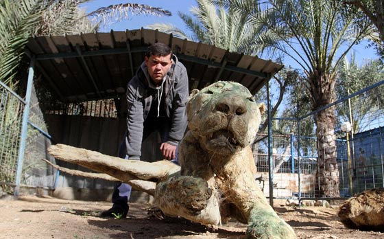 حدائق الحيوانات في غزة اشبه بالمعتقلات والأسود تموت جوعا صورة رقم 11