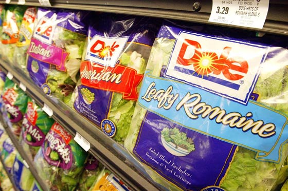 مقتل شخص ونقل 12 الى المستشفى بسبب طبق سلطة صورة رقم 1 مقتل شخص ونقل 12 الى المستشفى بسبب طبق سلطة صورة رقم 1