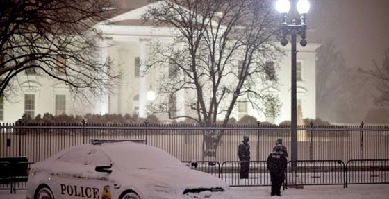 سنوزيلا المميتة تشل الحياة في الولايات المتحدة وتقتل 10 اشخاص صورة رقم 6 سنوزيلا المميتة تشل الحياة في الولايات المتحدة وتقتل 10 اشخاص صورة رقم 6