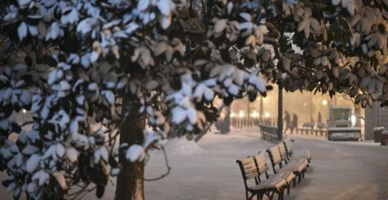 سنوزيلا المميتة تشل الحياة في الولايات المتحدة وتقتل 10 اشخاص صورة رقم 7 سنوزيلا المميتة تشل الحياة في الولايات المتحدة وتقتل 10 اشخاص صورة رقم 7