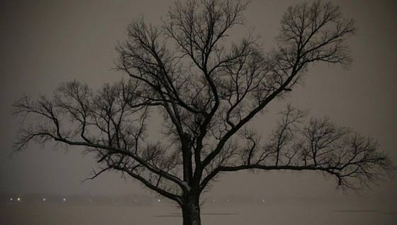 سنوزيلا المميتة تشل الحياة في الولايات المتحدة وتقتل 10 اشخاص صورة رقم 9 سنوزيلا المميتة تشل الحياة في الولايات المتحدة وتقتل 10 اشخاص صورة رقم 9