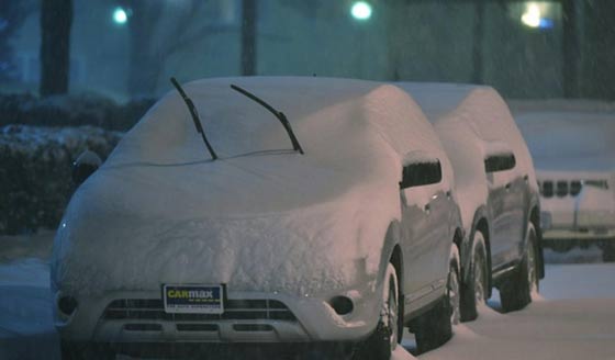 سنوزيلا المميتة تشل الحياة في الولايات المتحدة وتقتل 10 اشخاص صورة رقم 10 سنوزيلا المميتة تشل الحياة في الولايات المتحدة وتقتل 10 اشخاص صورة رقم 10