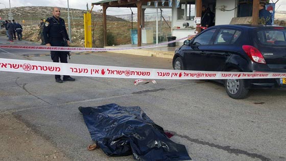 حارس امن اسرائيلي يقتل طفلة فلسطينية مدعيا انه ارادت طعنه! صورة رقم 2 حارس امن اسرائيلي يقتل طفلة فلسطينية مدعيا انه ارادت طعنه! صورة رقم 2