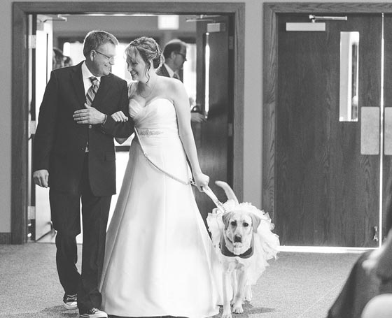  شاهد الصورة التي اسرت قلوب الملايين للعروس وكلبتها صورة رقم 4