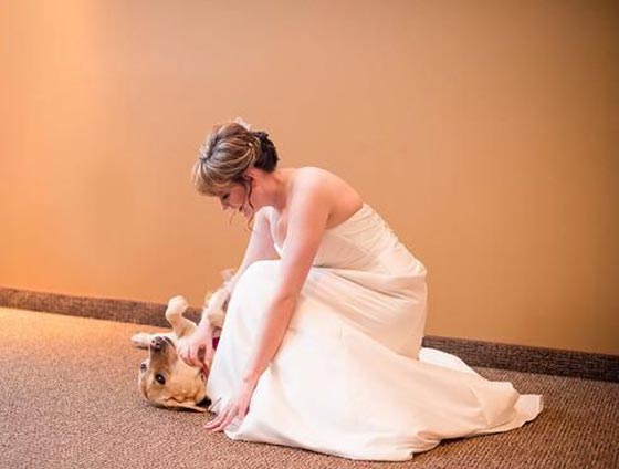  شاهد الصورة التي اسرت قلوب الملايين للعروس وكلبتها صورة رقم 2