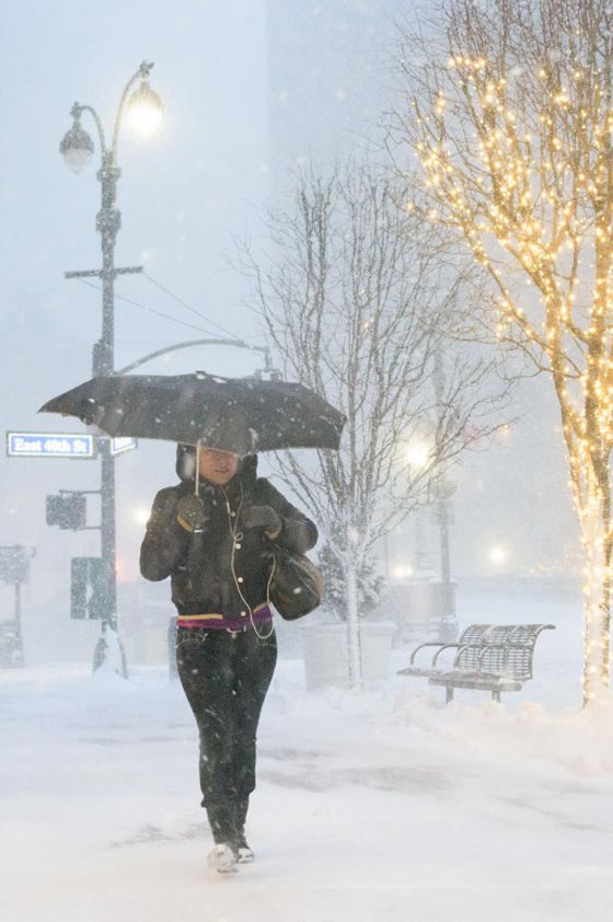 صور عاصفة ثلجية غير مسبوقة توقف الحياة في امريكا صورة رقم 16