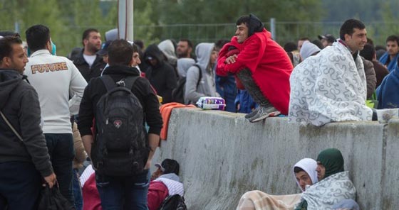 لحم الخنزير يدخل الحرب البيضاء بين الدنمركيين واللاجئين صورة رقم 5