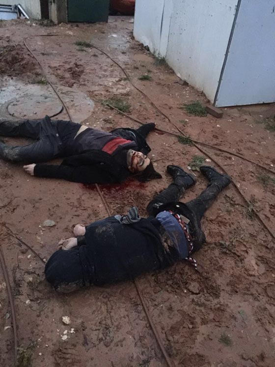 مقتل مستوطنة اسرائيلية طعنا من قبل فلسطينيين تمت تصفيتهما صورة رقم 1