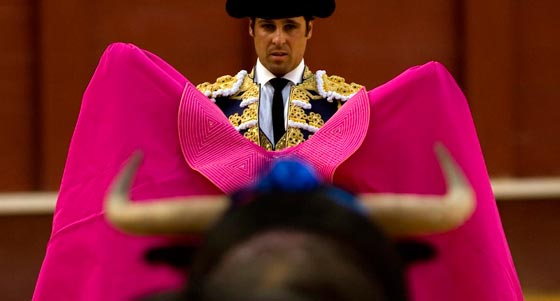 صور ماتادور يصارع ثورا خلال حمله لرضيعته.. تهز اسبانيا صورة رقم 5