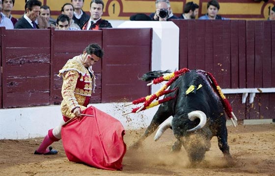 صور ماتادور يصارع ثورا خلال حمله لرضيعته.. تهز اسبانيا صورة رقم 2