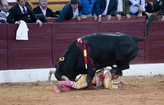 صور ماتادور يصارع ثورا خلال حمله لرضيعته.. تهز اسبانيا صورة رقم 3