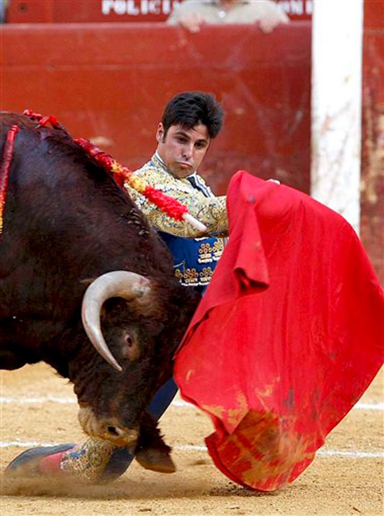 صور ماتادور يصارع ثورا خلال حمله لرضيعته.. تهز اسبانيا صورة رقم 4