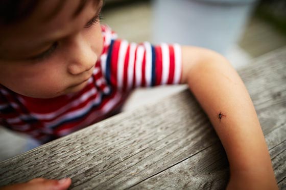 خبيرة عالمية تكشف عن اسرار زيكا الخطيرة على عالمنا العربي ايضا صورة رقم 4