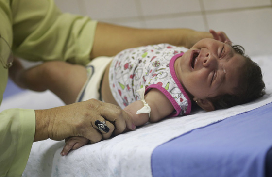 خبيرة عالمية تكشف عن اسرار زيكا الخطيرة على عالمنا العربي ايضا صورة رقم 16