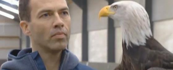  النسر العظيم مدرّب على اصطياد الطائرات بدون طيار في هولندا.. فيديو صورة رقم 2