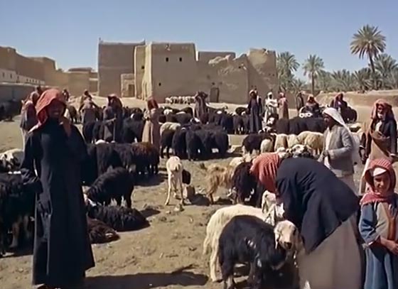 فيلم نادر.. هكذا كان وضع السعودية قبل حوالي النصف قرن صورة رقم 6 فيلم نادر.. هكذا كان وضع السعودية قبل حوالي النصف قرن صورة رقم 6