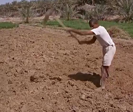 فيلم نادر.. هكذا كان وضع السعودية قبل حوالي النصف قرن صورة رقم 7 فيلم نادر.. هكذا كان وضع السعودية قبل حوالي النصف قرن صورة رقم 7