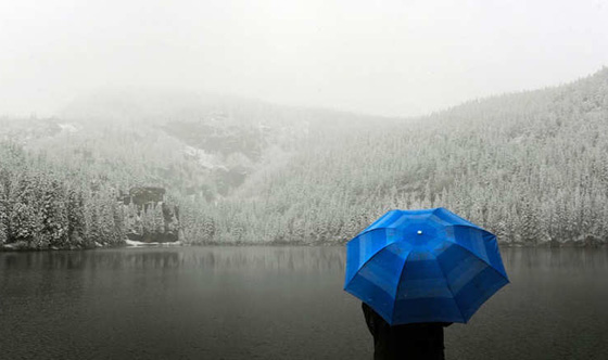 هل يمكن ان تكون حديقة عامة افضل فكرة في امريكا؟! صورة رقم 4