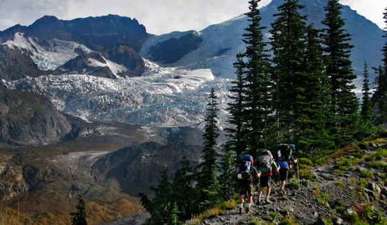 هل يمكن ان تكون حديقة عامة افضل فكرة في امريكا؟! صورة رقم 6