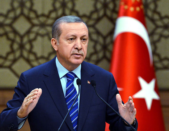 الرئيس التركي للسوريين.. للصبر حدود صورة رقم 1