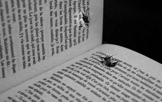 بيروت: جائزة الحرب كما اراها تذهب الى حبيبة جدتها دومينيك صورة رقم 1