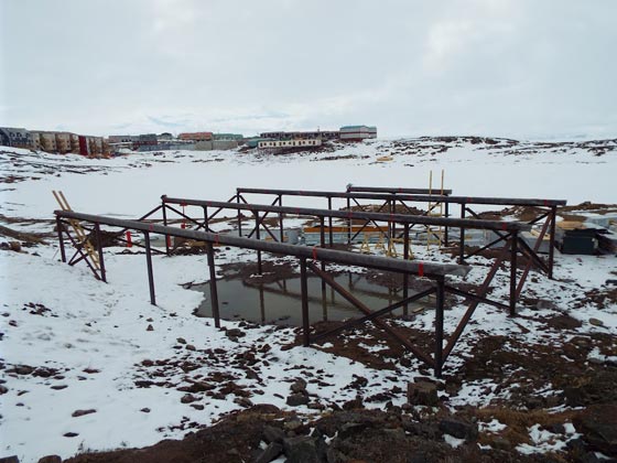 المسجد الاقصى عن العالم الاسلامي ينادي للصلاة في الاسكيمو صورة رقم 11