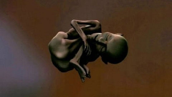  مومياء ليبية سبقت الحضارة الفرعونية بـ1500 سنة تحير العلماء صورة رقم 1