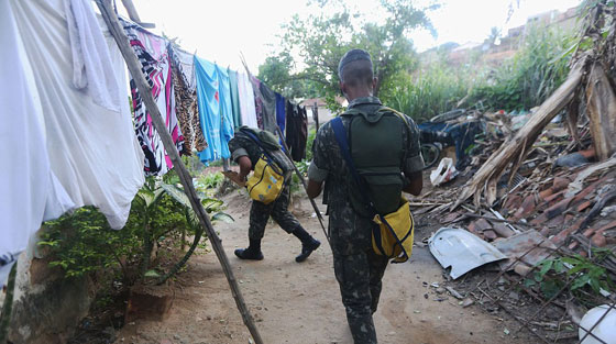 البرازيل تخوض حربا مع الزاعجة المصرية بـ 200 الف جندي  صورة رقم 1