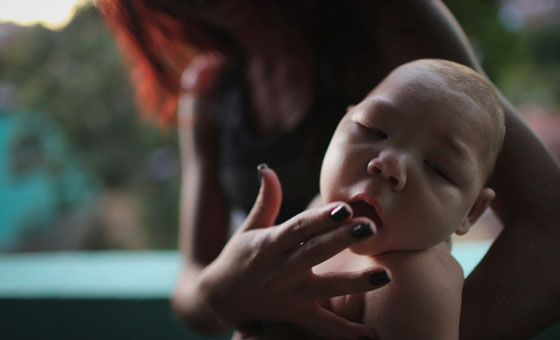 البرازيل تخوض حربا مع الزاعجة المصرية بـ 200 الف جندي  صورة رقم 3