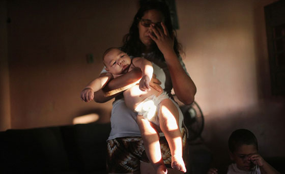 البرازيل تخوض حربا مع الزاعجة المصرية بـ 200 الف جندي  صورة رقم 5