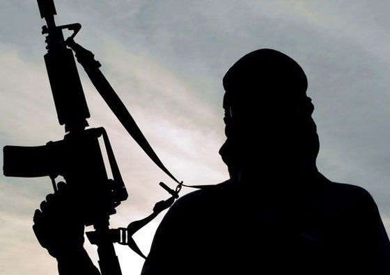 لهذا السبب لا يهاجم نظام الدولة ..دولة اسرائيل صورة رقم 3