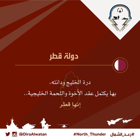 سيل من القوات والعتاد العسكري يتدفق الى السعودية للمشاركة في رعد الشمال صورة رقم 23