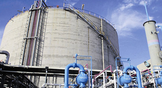 لماذا شكر رئيس بلدية حيفا السيد حسن نصرالله؟ صورة رقم 4