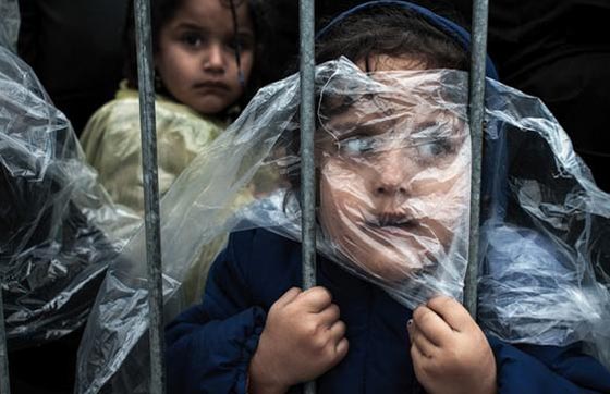 أروع الصور الصحفية  عالميا لعام 2015 صورة رقم 11