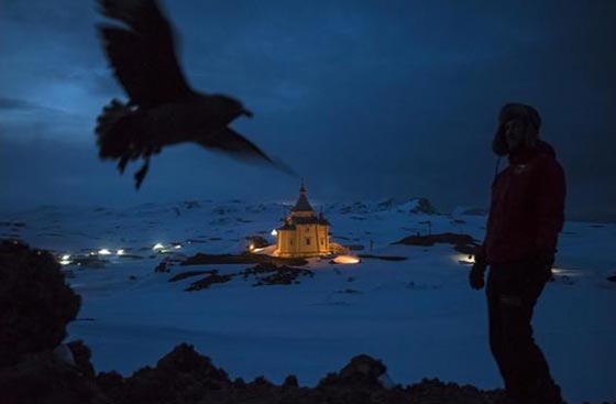 أروع الصور الصحفية  عالميا لعام 2015 صورة رقم 5